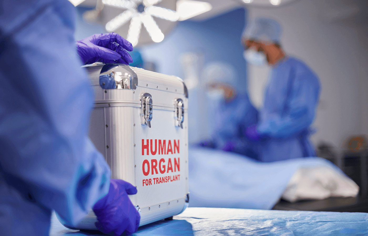 Support Organ Transplant