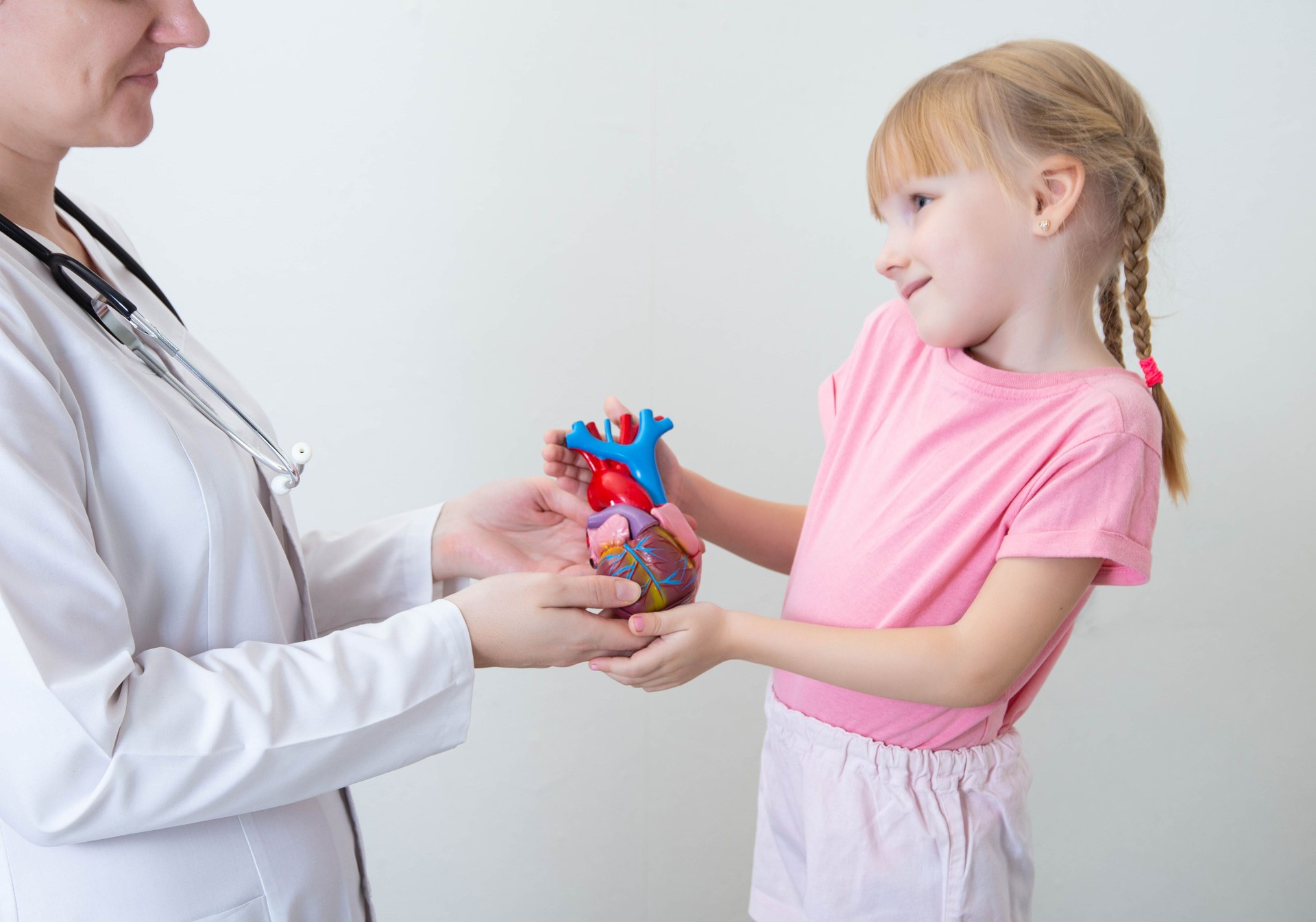 A doctor and a beautiful girl 5 years old are holding a mock-up of a heart. Pediatric cardiac surgery, congenital heart disease