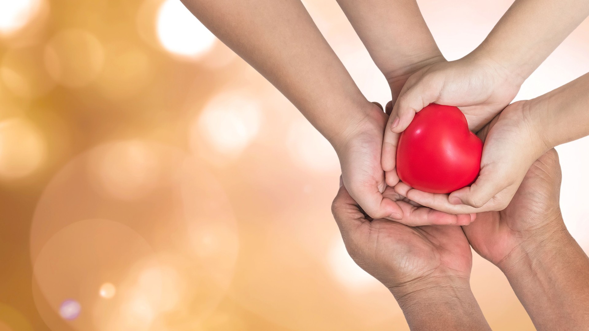 Life insurance, organ donor donation and health assurance for family protection concept with father-mother parents and children supporting red heart together