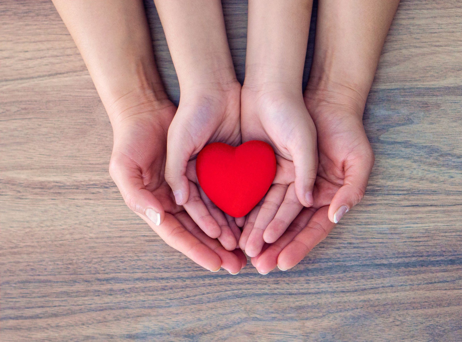 The hands of children and adults in the family have, holding a red heart shape in their hand, Red heart in child kid and mother hands on old wooden table.